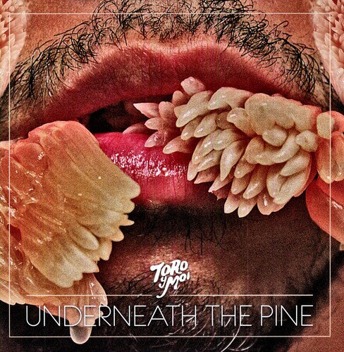 Toro Y Moi - Underneath The Pine LP
