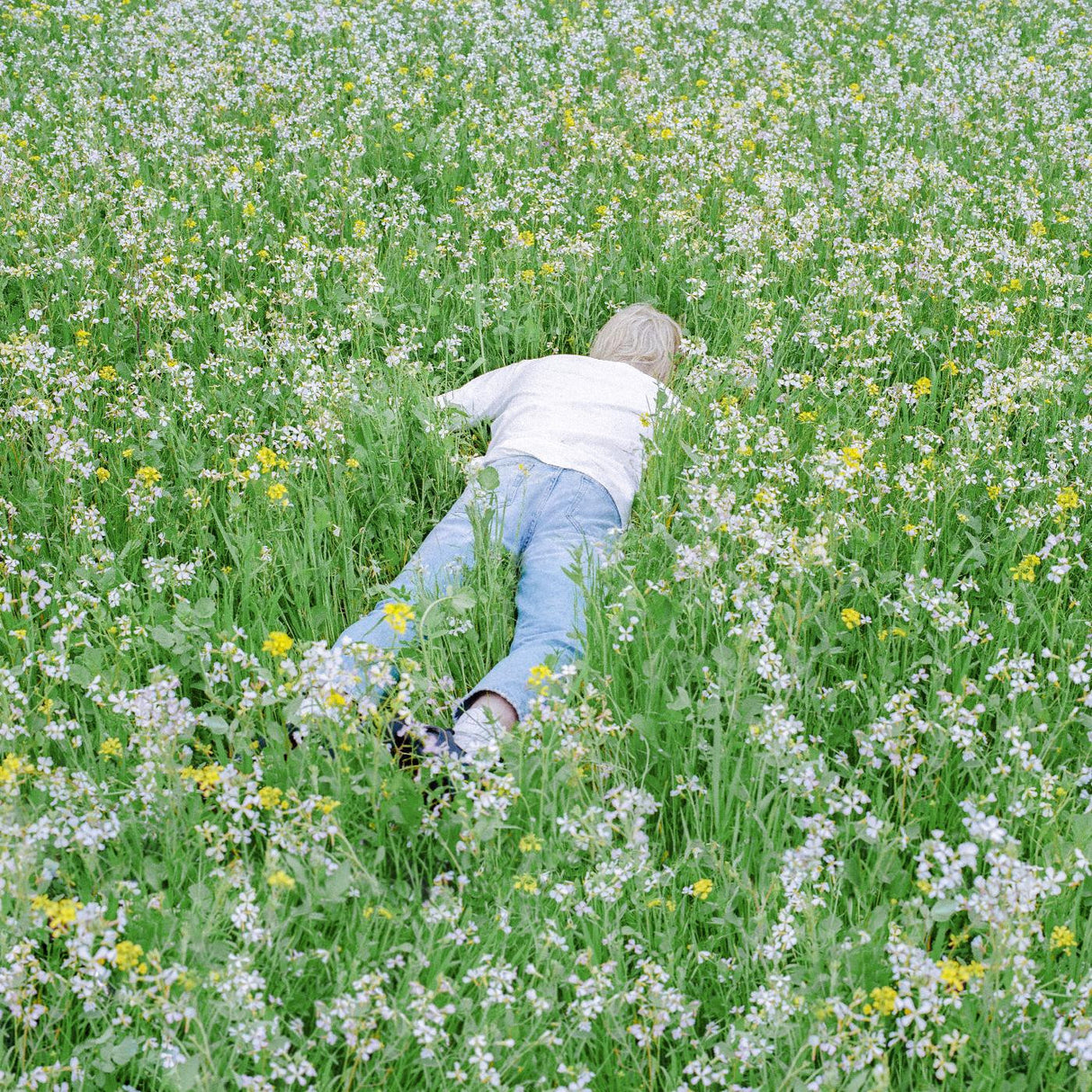 A person lying down in a field of short green grass and wildflowers, wearing a white shirt and blue jeans.