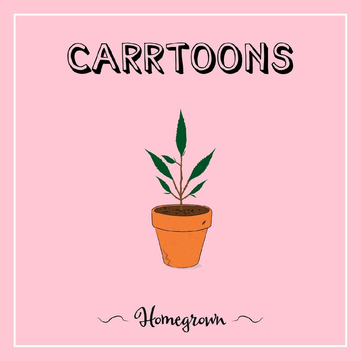 Potted plant illustration with 'Carrotons Homegrown' text on a pink background