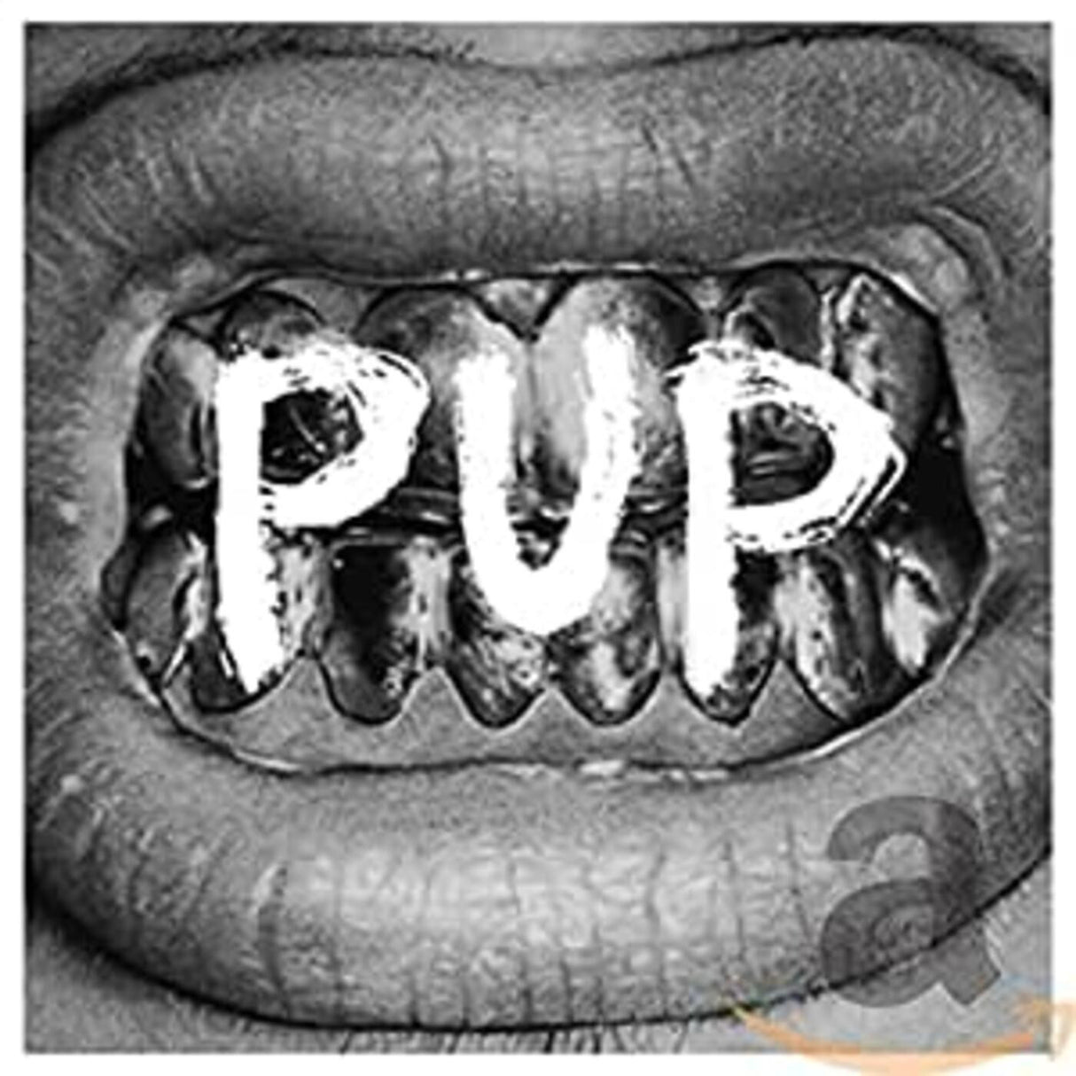 Pup - Pup LP