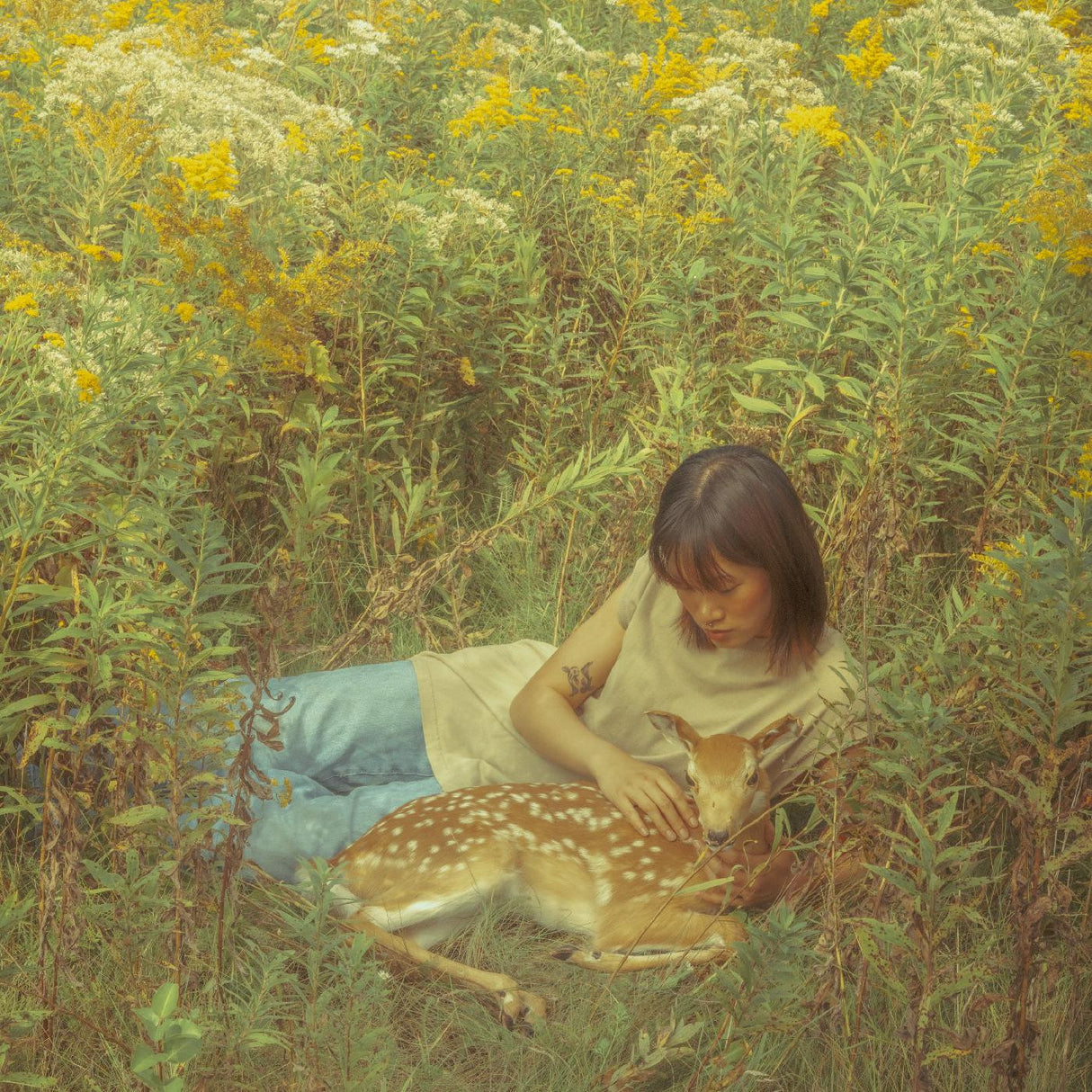A person sitting in a field with a fawn lying down in front of them.