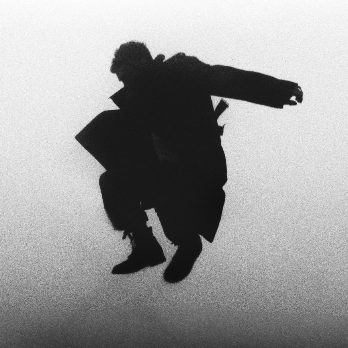 Del Water Group - Chasing The Chimera LP (Clear Vinyl)