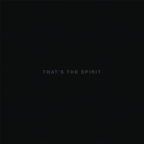 This image presents the cover of the album "That's The Spirit" by UK-based metal band Bring Me The Horizon. The album cover features a minimalist design with a dark background, highlighting the album title "That's The Spirit" in a sleek, white font.