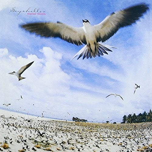Seagulls flying over a sandy beach with a clear blue sky.