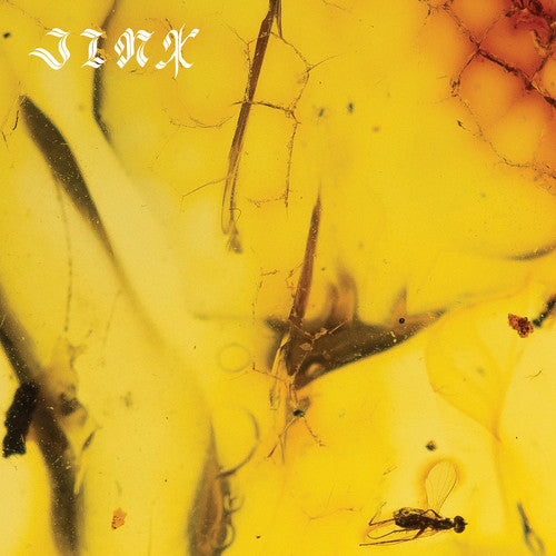 Close-up of amber with embedded insects and the brand 'Jink' visible.