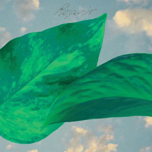 Close-up of green leaves against a cloudy sky