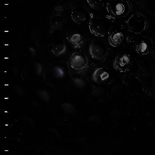 Close-up of dark glass bottles with labels on a black background