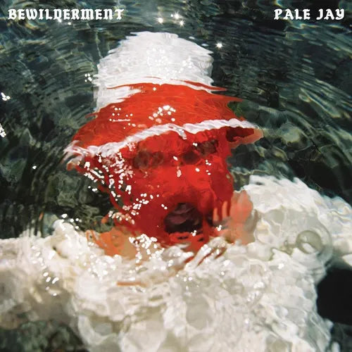Album cover for Pale Jay's 'Bewilderment' featuring a seafoam green vinyl record partially submerged in water with a red object, possibly a flower, on top.
