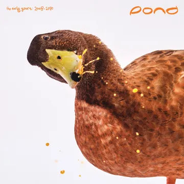 Pond - The Early Years: 2008 - 2010 2LP