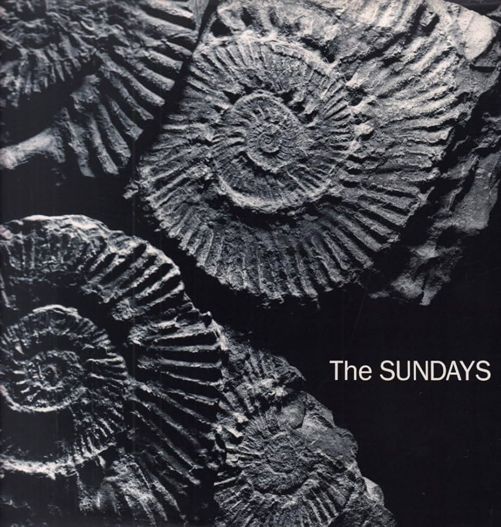 Fossilized ammonite shells on a dark background with 'The Sundays' text.
