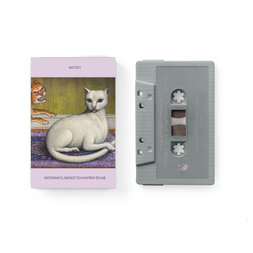 Cassette tape with a cat illustration on the cover and a white background