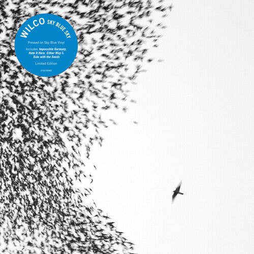 A vinyl LP of Wilco's album 'Sky Blue Sky' with a sky blue label, featuring a bird in flight amidst a flock of birds.