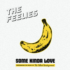 The Feelies - Some Kinda Love LP