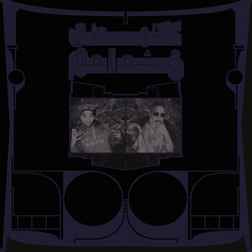 Shabazz Palaces - Exotic Birds Of Prey LP (Translucent White Vinyl)