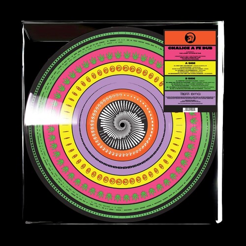 Limited edition Zoetrope vinyl LP record in a circular format with a colorful geometric pattern. The packaging includes a clear plastic sleeve and a label with the album name and artist.