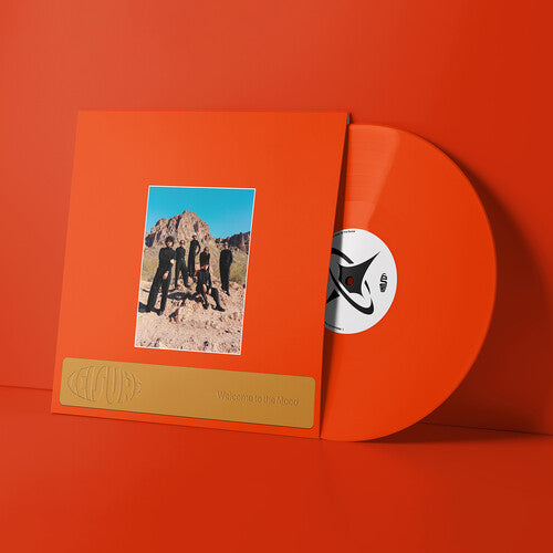 Vinyl record with orange cover featuring a band photo on an orange background