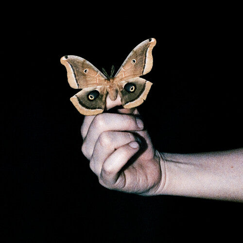 Butterfly held by a hand against a black background