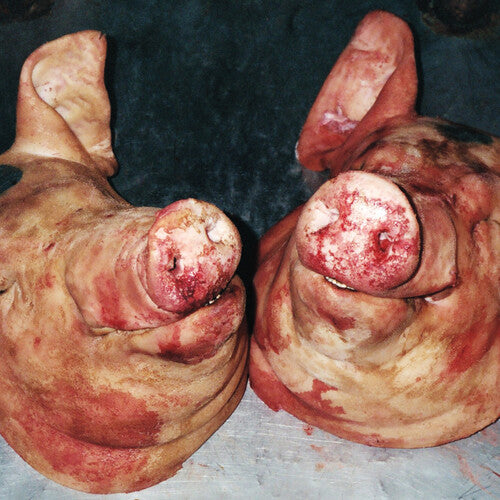 Close-up of two pig feet with visible skin texture and color.