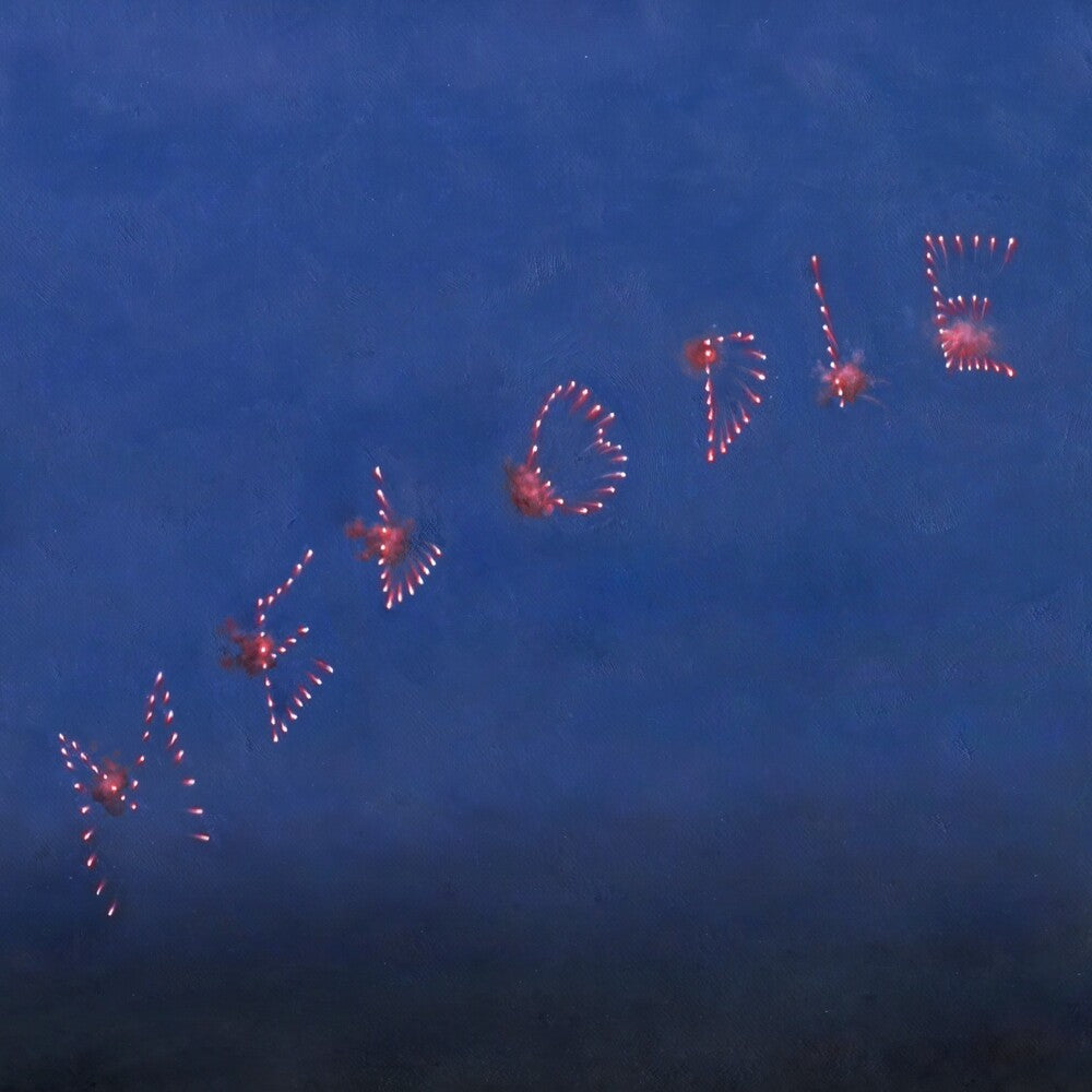 Fireworks spelling out 'WELCOME' in the night sky.