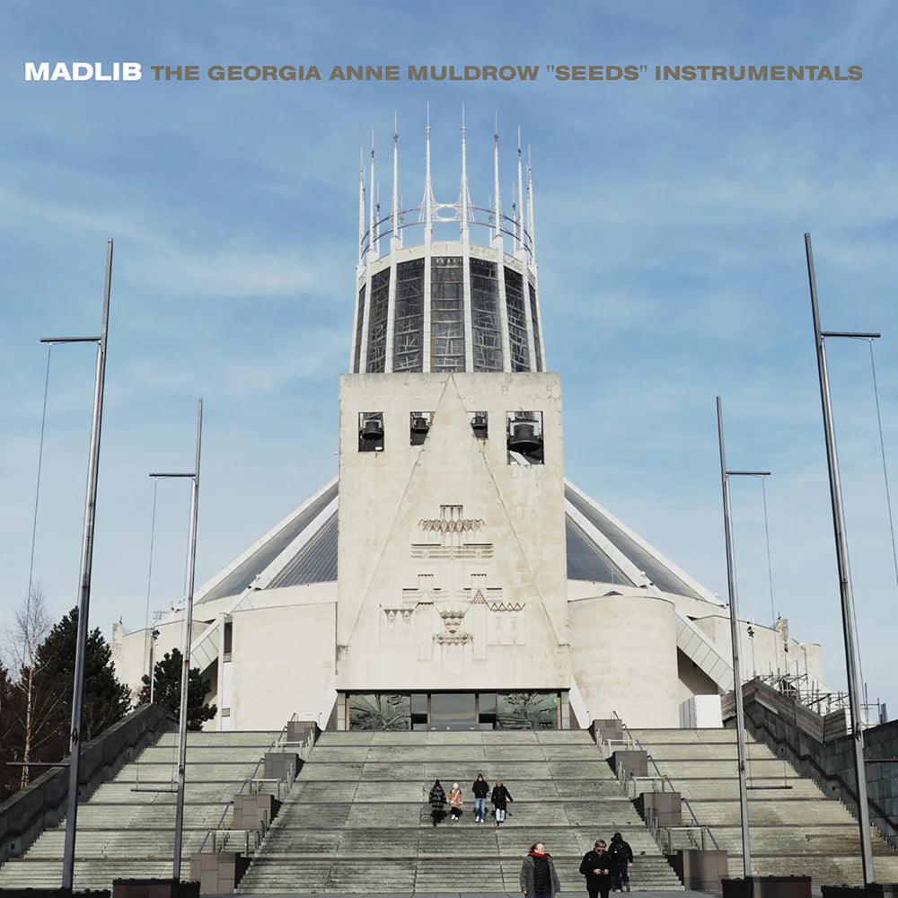 Madlib / Georgia Anne Muldrow - Seeds (Instrumentals) LP