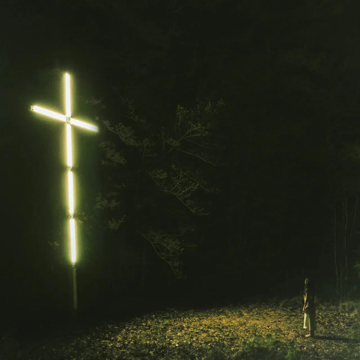 Neon cross in a dark forest setting