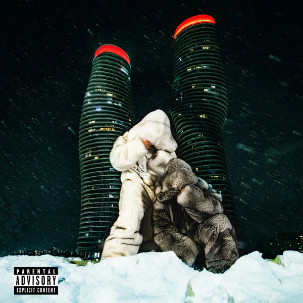 A plush toy raccoon in a snow-covered setting with tall buildings in the background, under a dark sky with snowfall. The toy raccoon is wearing a white outfit, and the image has a marbled blue color overlay.