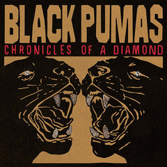 Black Pumas - Chronicles Of A Diamind LP