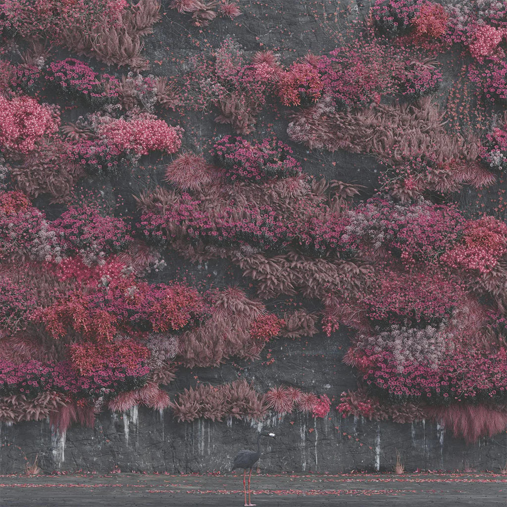 Aerial view of a forest with pinkish-red foliage and a person standing at the bottom.
