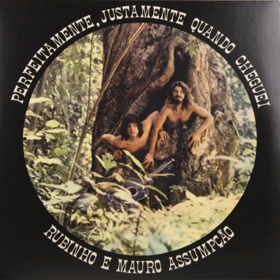 Rubinho e Mauro Assumpção - Perfeitamente, Justamente Quando Cheguei LP