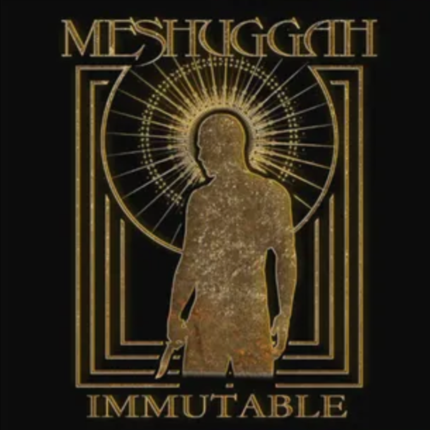 Album cover of Meshuggah - Immutable featuring a silhouette of a figure with radiating geometric shapes against a dark background.