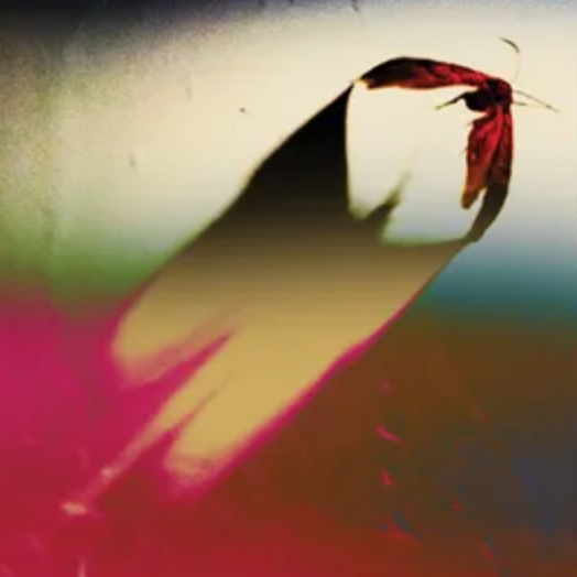 Abstract artwork for Scowl's album 'Are We All Angels' featuring a blurred figure with a red and pink hue.
