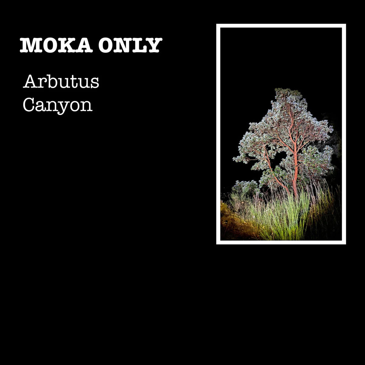 Moka Only - Arbutus Canyon LP