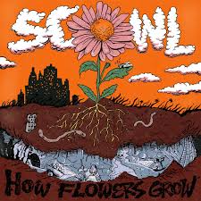 Illustration of a flower growing with text 'How Flowers Grow' on an orange background