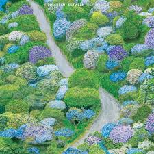 Album cover with a garden scene featuring flowers and a path, titled 'Fiddlehead - Between the Richness'.