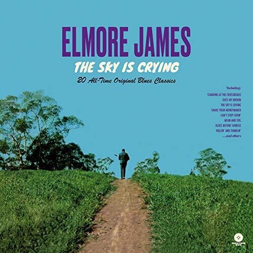 Album cover for Elmore James - The Sky Is Crying featuring a man standing at the end of a path with a landscape background.