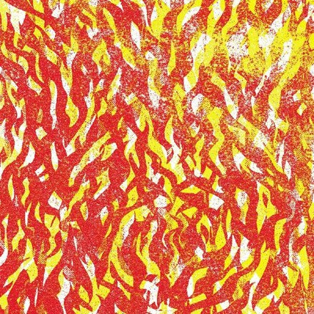 A close-up of a vinyl record with a fiery, abstract design in red and yellow tones, representing the music of The Bug - Fire album.