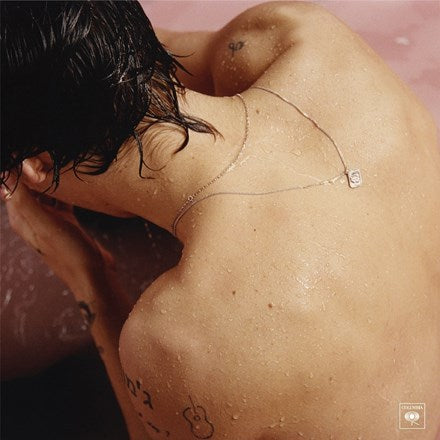 This image features the album cover of "Harry Styles - Harry Styles LP," depicting a close-up of a young man with wet hair, viewed from behind, highlighting a thoughtful and serene expression. The background is blurred, ensuring the subject remains the central focus.