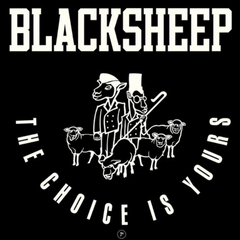 Black Sheep - The Choice Is Yours 7-Inch