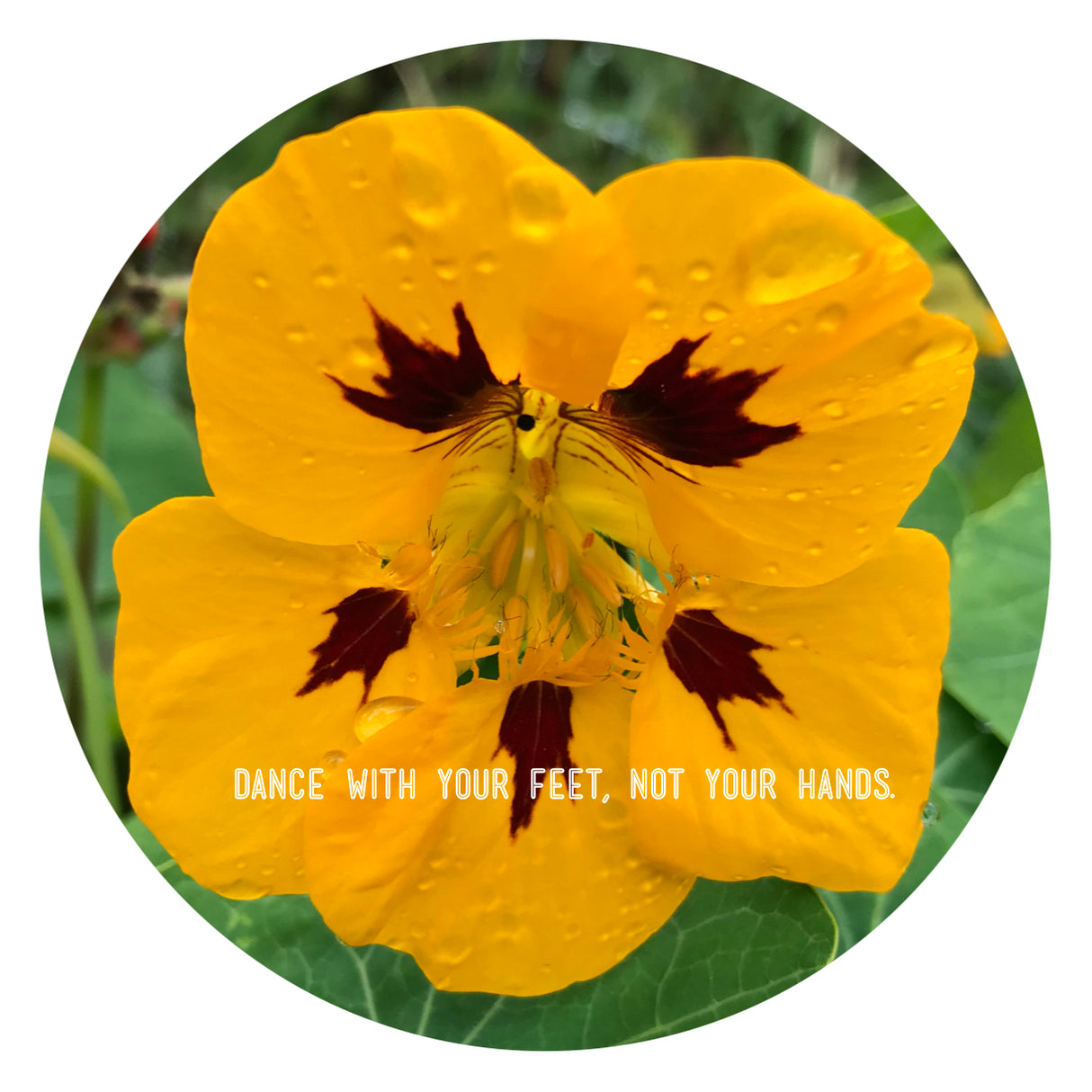 Caruso - Memories EP