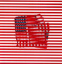 Stack of books with American flag design on a red and white striped background