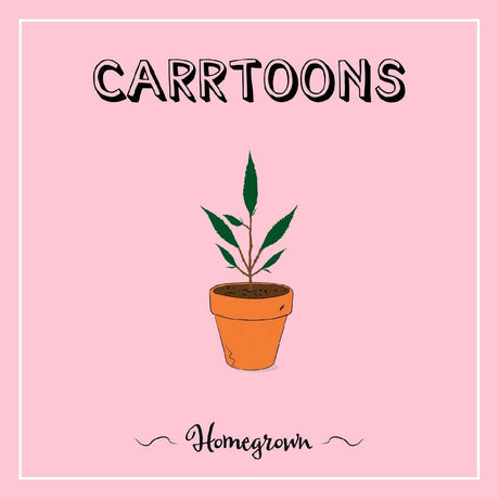 Potted plant illustration with 'Carrotons Homegrown' text on a pink background