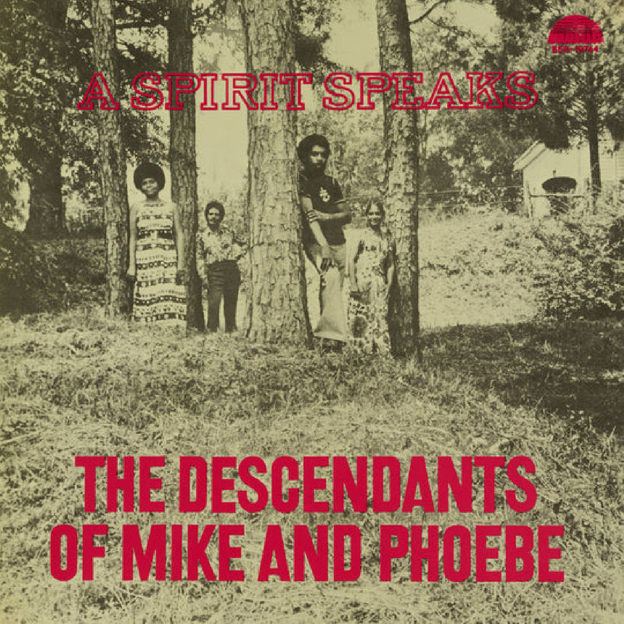 The Descendants Of Mike and Phoebe - A Spirit Speaks LP (Deluxe Edition)