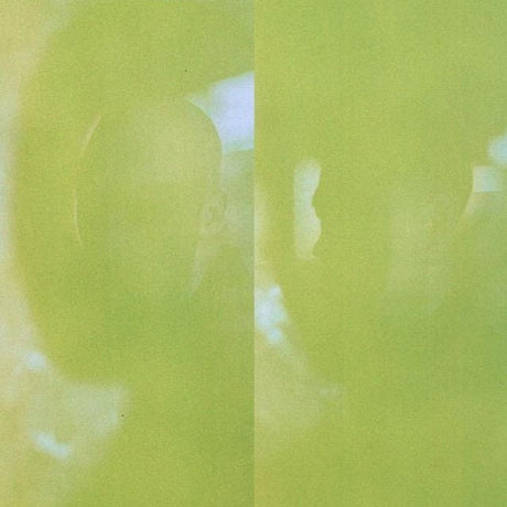 Close-up of a green apple with a blurred background