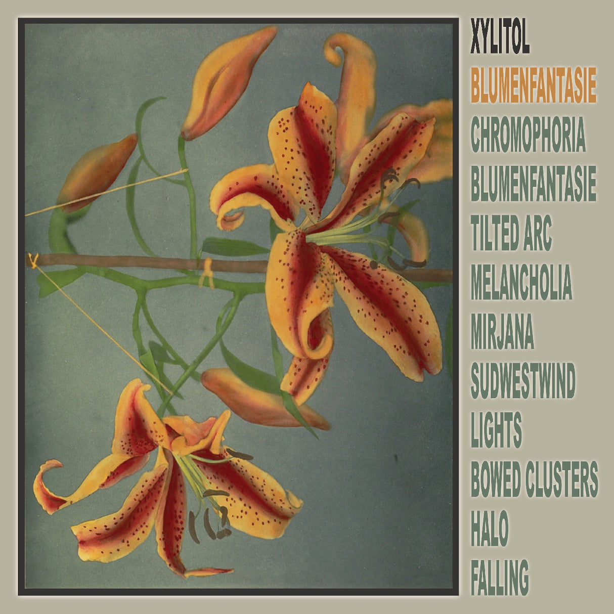 Xylitol - Blemenfantasie LP