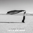 Album cover with a person holding a black fabric in an open landscape, featuring the text 'Linda Perry Let It Die Here'.