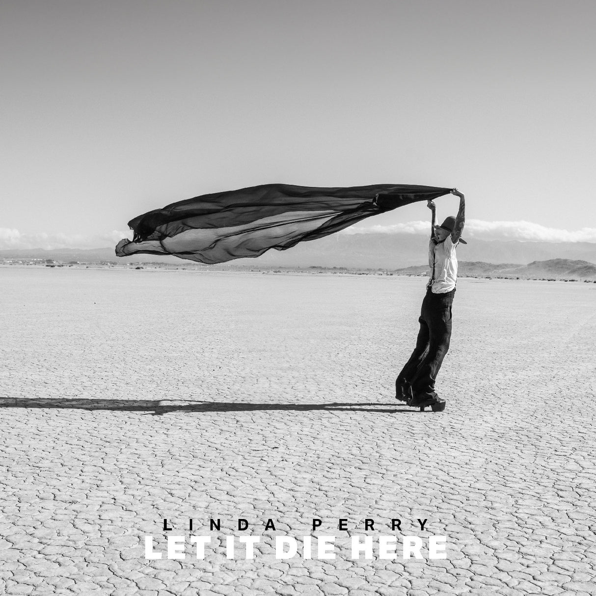 Album cover with a person holding a black fabric in an open landscape, featuring the text 'Linda Perry Let It Die Here'.