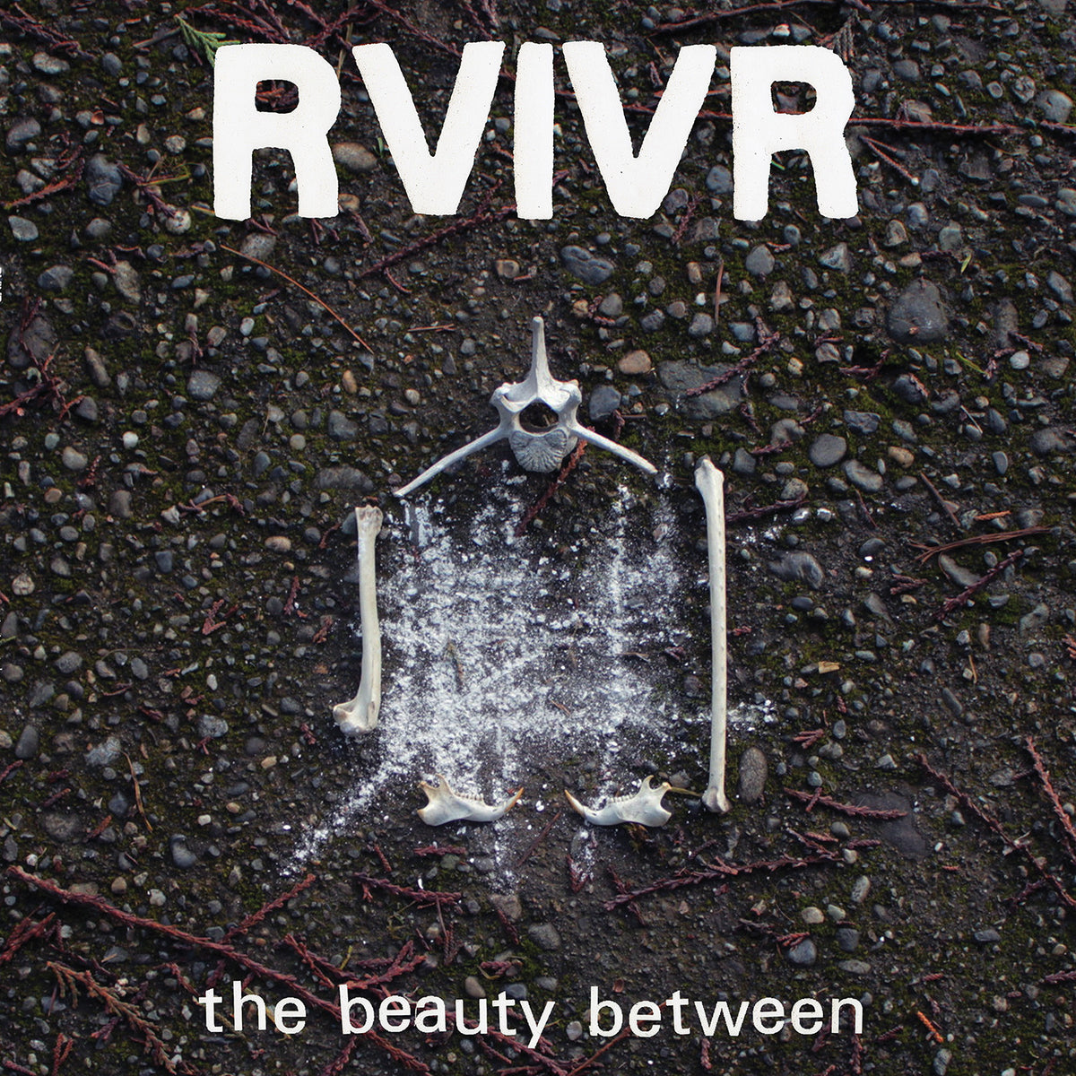 Skeleton on a dark ground with 'RVIVR' and 'the beauty between' text.