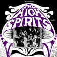 The album cover for 'Mogul Spirit' by Jim Morrison's band, featuring a stylized purple and white mushroom graphic with a black-and-white photograph of the band members inside. The text 'Mogul Spirit' is written in a bold psychedelic font, with 'STEREO' at the top and a 'Crown Records' logo on the right.