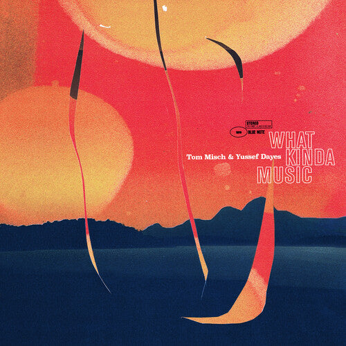 Album cover with abstract design and text 'What Kinda Music' by Tom Misch & Yussef Dayes.