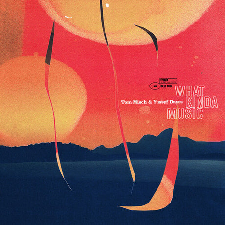 Album cover with abstract design and text 'What Kinda Music' by Tom Misch & Yussef Dayes.